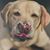 Gwen Myers's profile image
