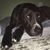 Richelle Baker's profile image