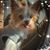 Chellie Grams Goodrich's profile image
