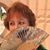Sharon Johnson's profile image