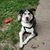 Stephanie Stoddard's profile image