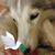Judie Guthrey's profile image