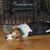 Jess Graffam Smith's profile image