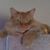 Denny Feger's profile image