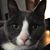 Jacquelyn Smith Griesbach's profile image