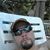 Rodney M. Thornhill's profile image