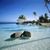 Sharon Eve Schlossberg Tingler's profile image