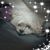 Kathy Griffin Pindras's profile image