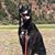 Christopher J. Nelson's profile image