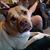 Jimmy Westerfield's profile image