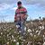Steven Locklear's profile image