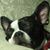 Rory Dragicevich's profile image