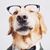 Dunie Chard's profile image