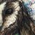Karlene M. Krista's profile image