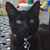 Sheri Tarr's profile image