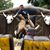 Moises Cardoza's profile image