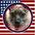 Robin Tetreault-Uralowich's profile image