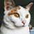 Jennifer Barron's profile image