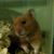 Pamela Sackitt's profile image