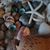 Nancy Schohl Campbell's profile image