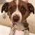 Cindy McIntosh's profile image