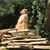Betty Ann Webb's profile image