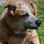 Steve Kaye's profile image