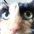 Sheree Seil Laborie's profile image