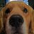 Lidia Cruz's profile image