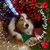 Stacey Hatzfeld's profile image
