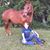 Misty Withee's profile image