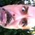 Tom Rody's profile image