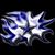 Shawn Everline's profile image
