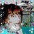 Vicki Poole Hines's profile image