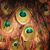 Sue Holmgren's profile image