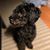 Ellice Oliva's profile image
