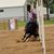 Chelsea Neuman's profile image