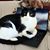 Angela Priddy Peeler's profile image