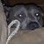 Shawna Poe's profile image