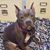 Kelly Rinker's profile image