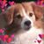 Shirley Phipps's profile image