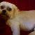 Jeanne Hollon's profile image