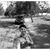 Aloysius Djaynardy's profile image