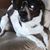 Jennifer Vonasek-Ditzel's profile image