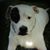 Lisa Macy's profile image