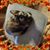 Becky Schaefer's profile image