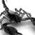 Laray Lunden's profile image
