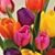 Mary Kathryn Hill's profile image