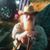 Wendy Hedge's profile image