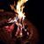 Sonya Maria Eckert's profile image